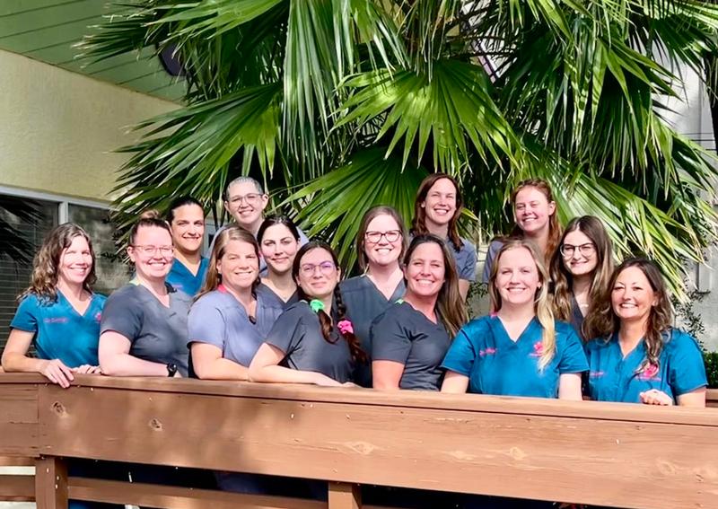 Animal Health Care Clinic Clearwater veterinary hospital